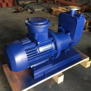 不銹鋼自吸式磁力泵如何避免操作時(shí)出錯(cuò)